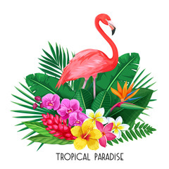 tropical banner with toucan