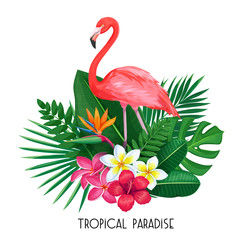 tropical banner with toucan © Victoria Sergeeva