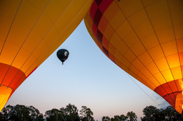 Obraz premium Hot air balloons at dawn