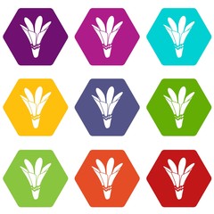 Fototapeta premium Nature flower icons 9 set coloful isolated on white for web