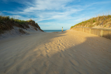 Sandy walkway leading to beach and ocean