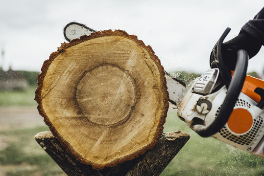 Chainsaw