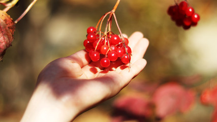 berry and both hands.