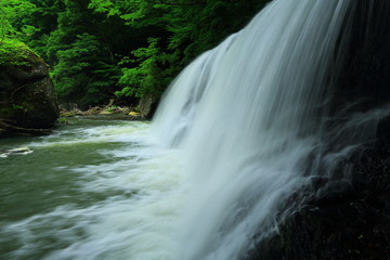 葛丸渓流　新緑の一の滝