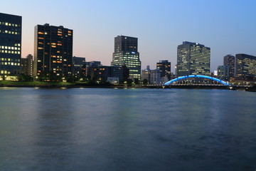 Fototapeta na wymiar ライトアップされた永代橋と隅田川の夜景