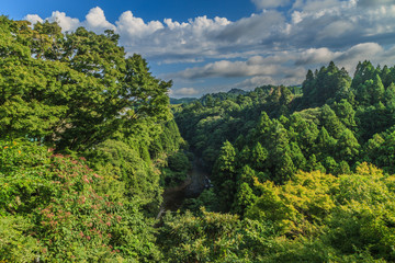 Fototapeta na wymiar 夏の養老渓谷の粟又の滝の風景