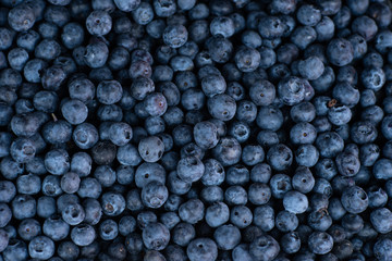 Blueberries on a market