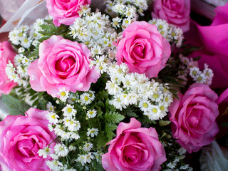 Beautiful pink roses in bouquet. There are drops of water on the petals