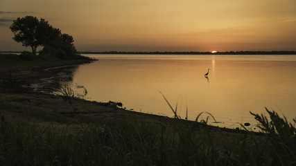 Heron at Sunrise at Lake Hefner