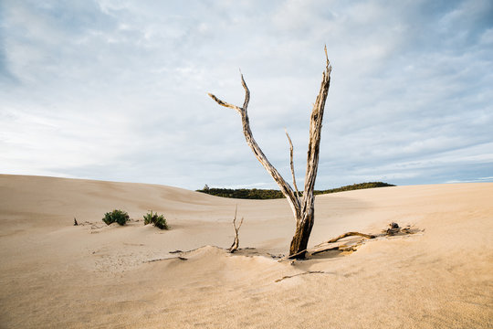 Sand dunes of remote South Australia