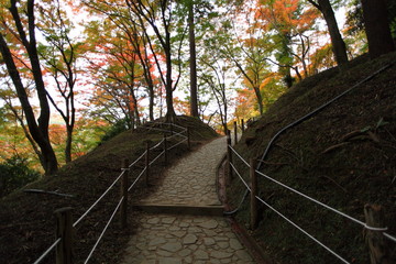 晩秋の遊歩道