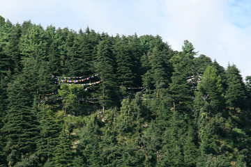 Trek to Dal Lake, India