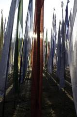 Himalaya - Buddhist flags on a mountain peak