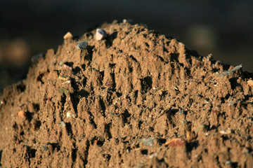 Trek to Dal Lake, India
