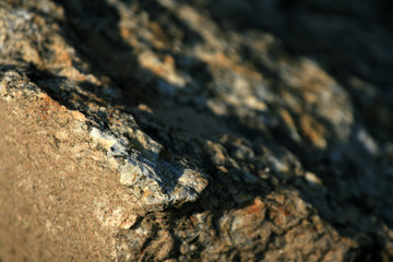 Trek to Dal Lake, India