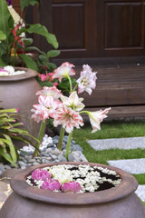 Fototapeta na wymiar Pink and white flowers float in big jar in backyard garden
