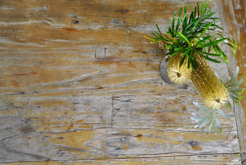 Banksia Australian native flower on natural wood background, wild flowers with leaves. Botanical arrangements.
