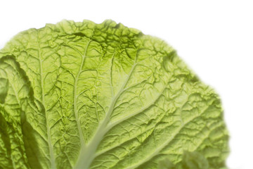 Textured leaf of Peking or Chinese cabbage (Brassica rapa subsp. Pekinensis), or pesay (English pe-tsai). Backlight. Background image. Add to your diet.