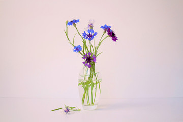 Still life with delicate flowers, Cornflowers (Centaurea montana or Centaurea cyanus). Abstract background. Selective focus, Close-up. Space for copy.