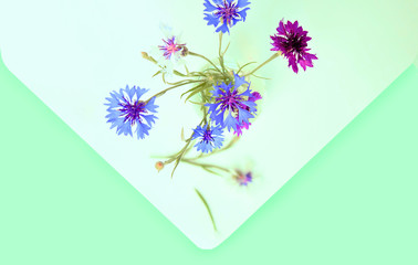 Still life with delicate flowers, Cornflowers (Centaurea montana or Centaurea cyanus). Abstract background. Selective focus, Close-up. Space for copy.