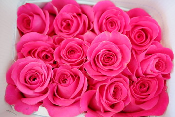 Naklejka premium Romantic Flower bouquet arrangement with special pink red rose