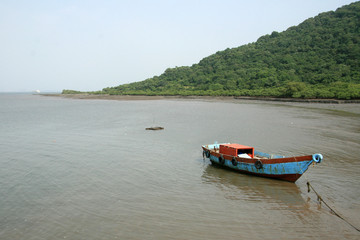 Fototapeta na wymiar Elephanta Island, Mumbai, India