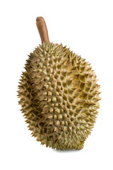 Mon Thong durian fruit