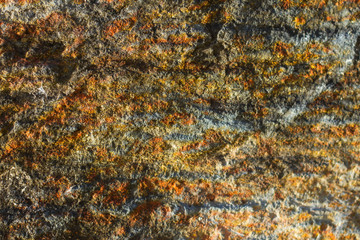 Stone texture and background