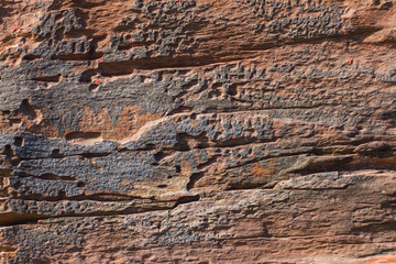 Stone texture and background