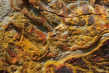 Stone texture and background