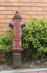 Red fire hydrant in retro style close-up against a brick wall and green plant