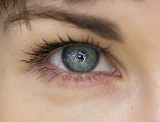 Fototapeta na wymiar Beautiful blue eye girl close-up