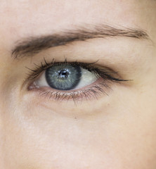 Fototapeta na wymiar Beautiful blue eye girl close-up. macro portrait of female face.