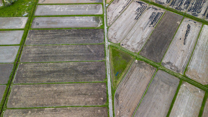 aerial view of  Rice fields in japan