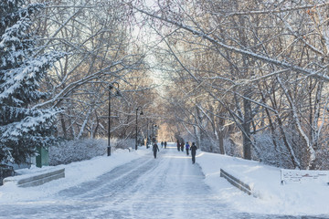 Winter Walk