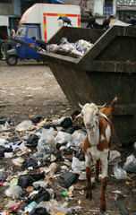 Slums / Shanty Towns, Mumbai, India