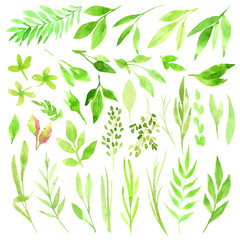 Botanical clipart. Set of Green leaves, herbs and branches. Floral Design elements. Perfect for wedding invitations, greeting cards, blogs, posters and more. Watercolor illustrations.