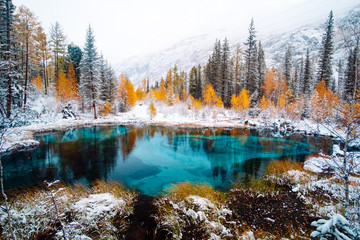 Fantastic blue geyser lake in the autumn forest. Altai, Russia. - obrazy, fototapety, plakaty