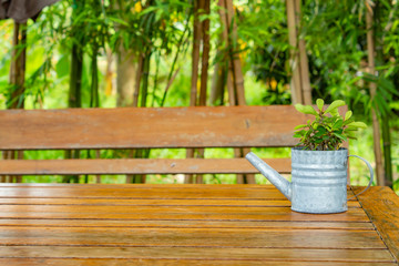 A small tree with the table for beauty.