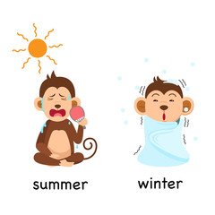 Opposite summer and winter vector illustration