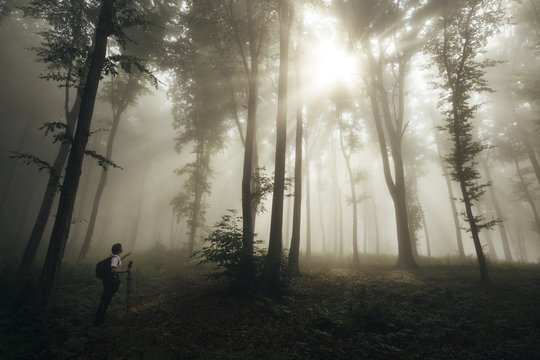 Man in awe in enchanted forest with fog with sun rays
