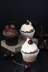Delicious chocolate and vanilla cupcakes with cherries on a black background