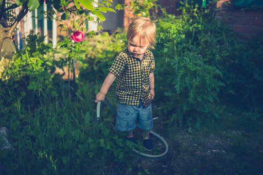 Little toddler boy watering the garden at sunset