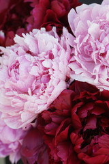 Bouquet of peonies close-up