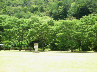 運動公園の芝生広場