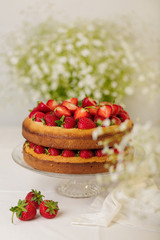 Homemade strawberry cake on a glass stand on the white background.