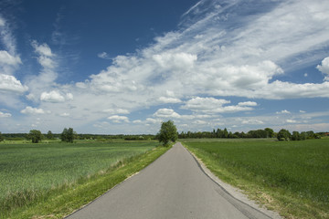 Asphalt road through fields and white clouds in the sky