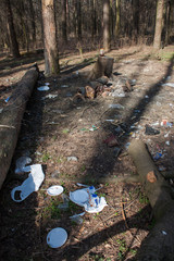 Garbage pollution in the forest