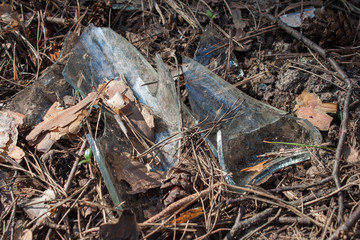 Broken bottle in the forest
