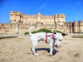 Castillo de Coca, pueblo de Segovia (Castilla y León, España)